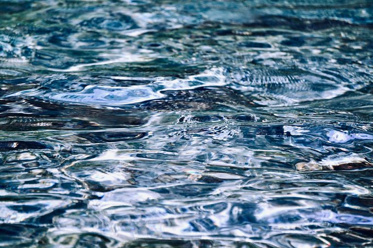 A detailed close-up photo capturing the ripples and reflections on a calm water surface.